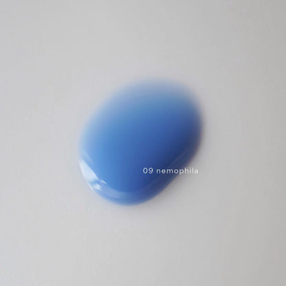 09 nemophila