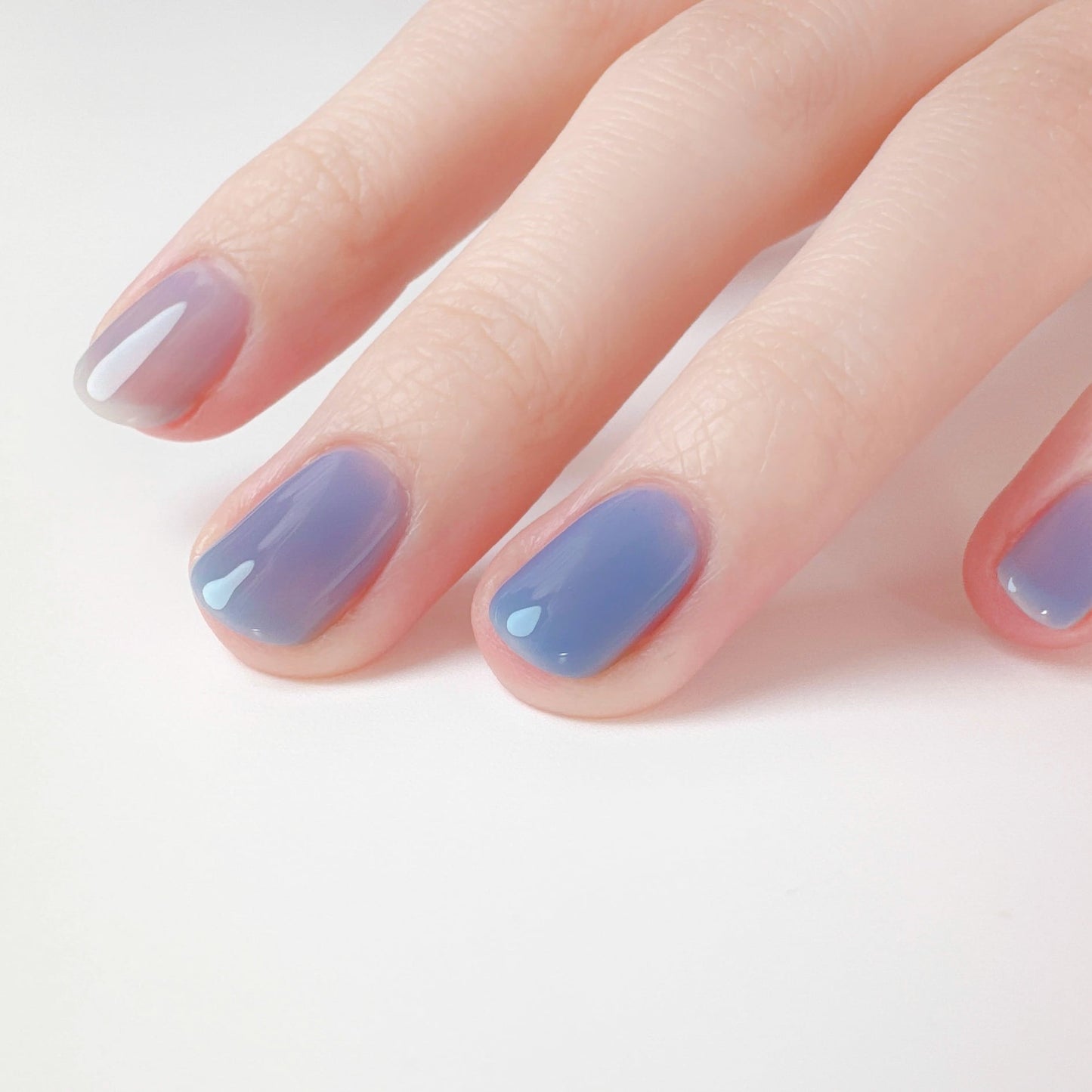 09 nemophila