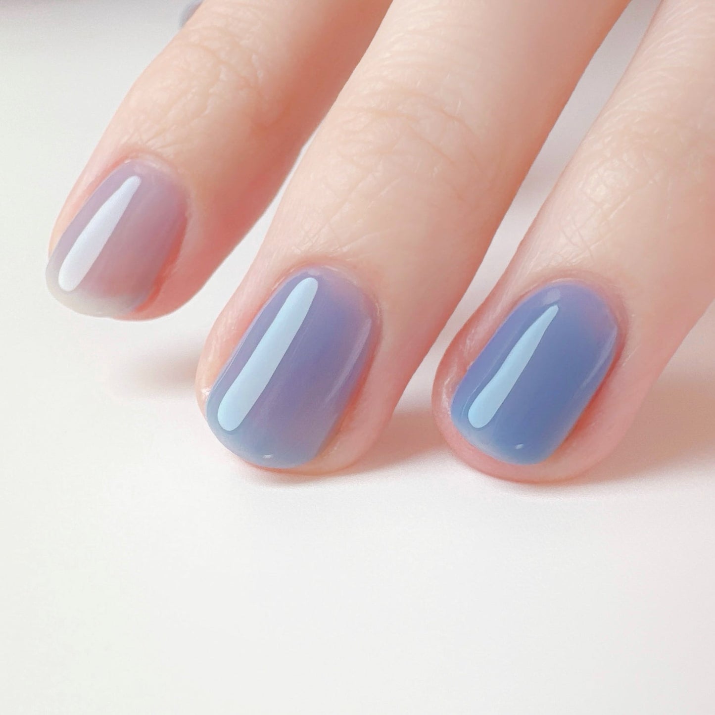 09 nemophila