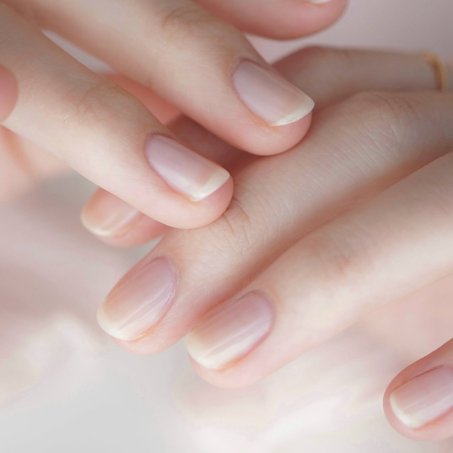 03 milk chiffon