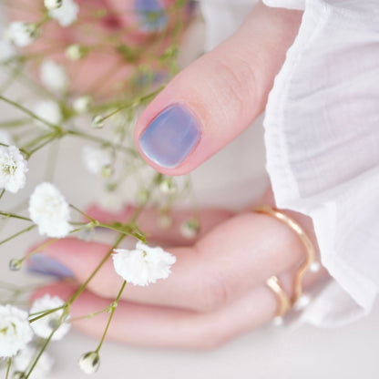 09 nemophila