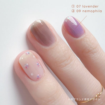 07 lavender land