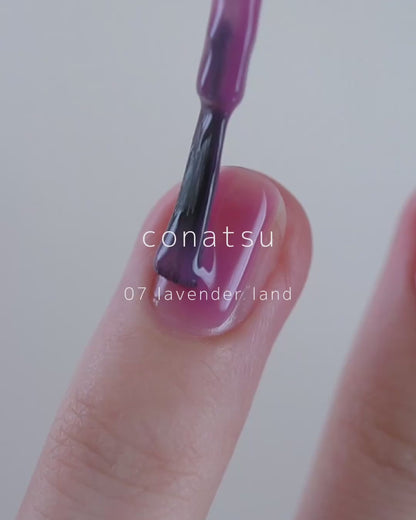 07 lavender land