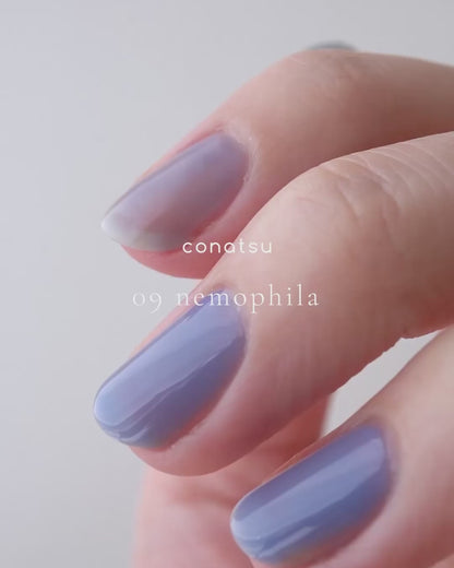 09 nemophila